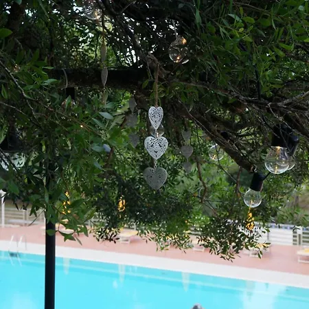 Villaggio Golfo Di Arzachena 3*